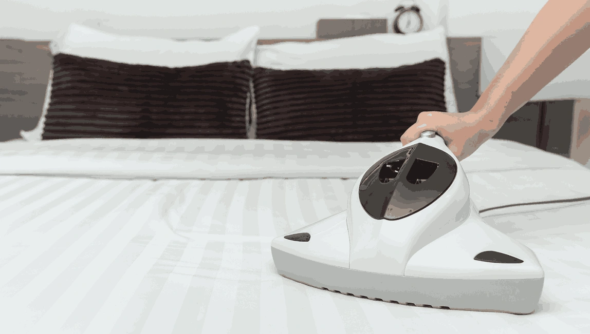 Professional Mattress Cleaning Balwyn